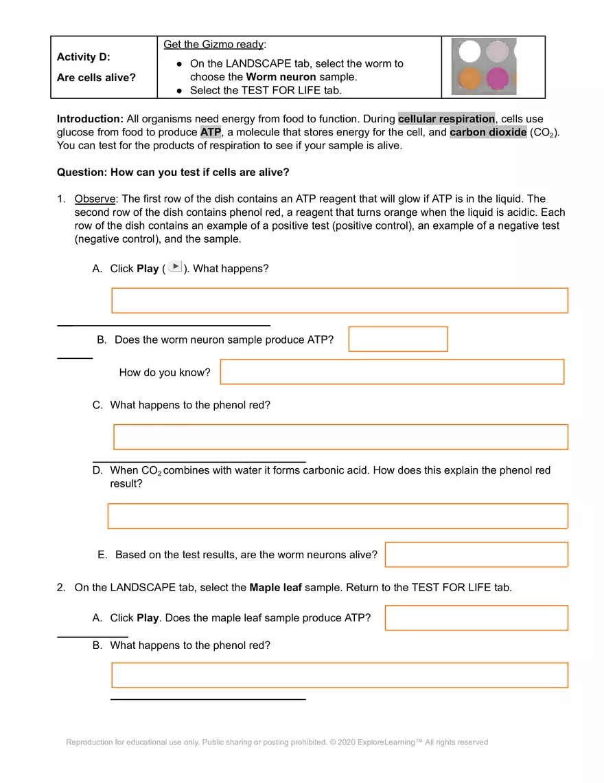 Cell Types SE - Page 12