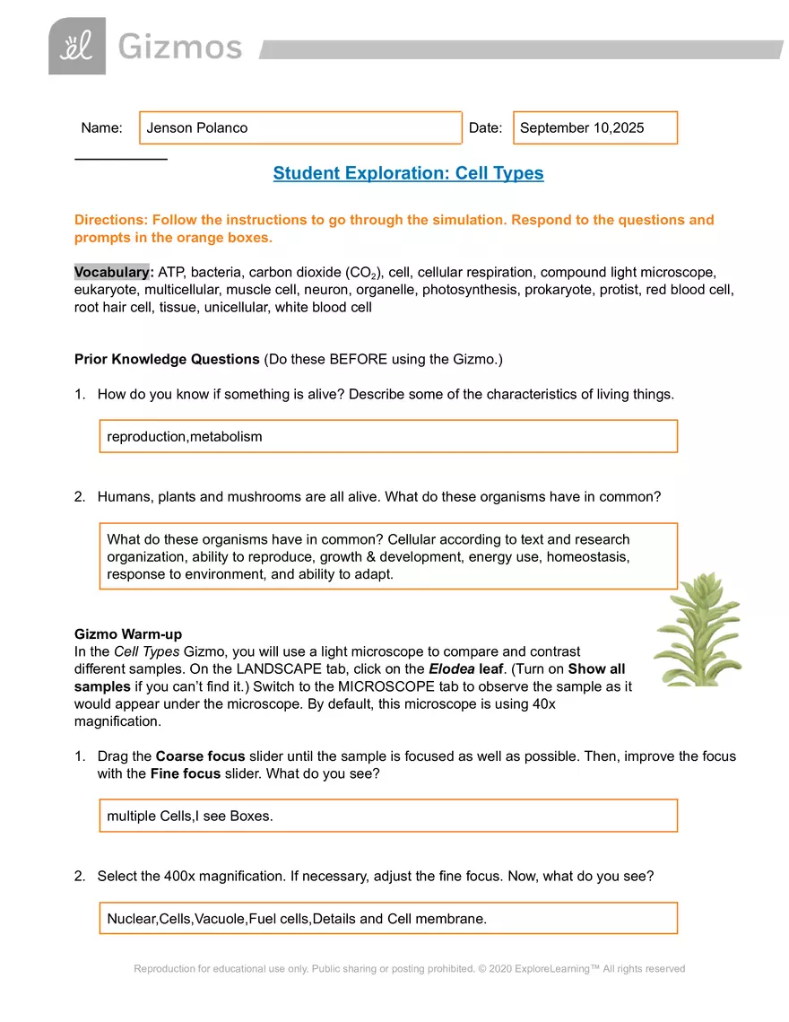 Cell Types SE - Page 1
