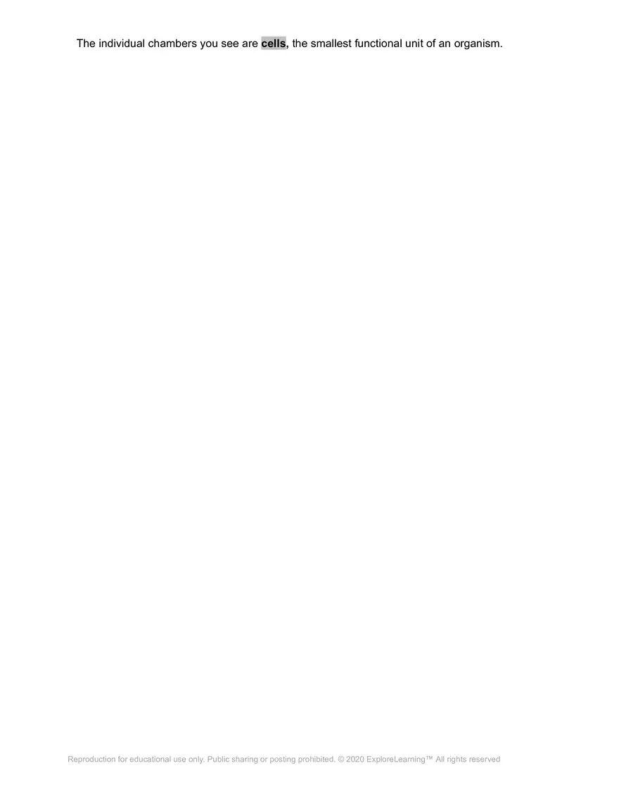 Cell Types SE - Page 2