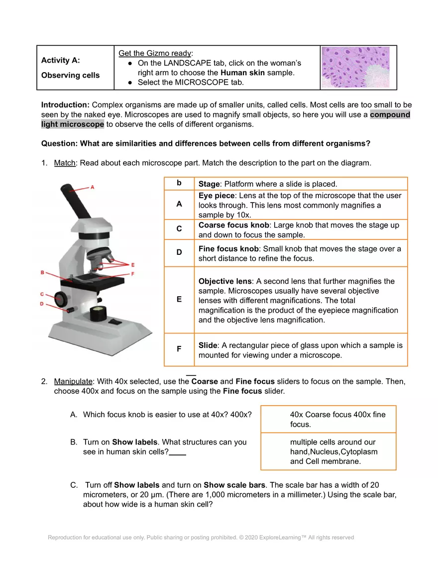 Cell Types SE - Page 5