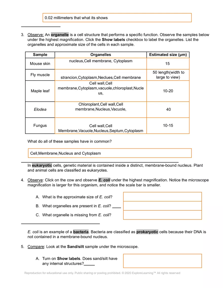 Cell Types SE - Page 6