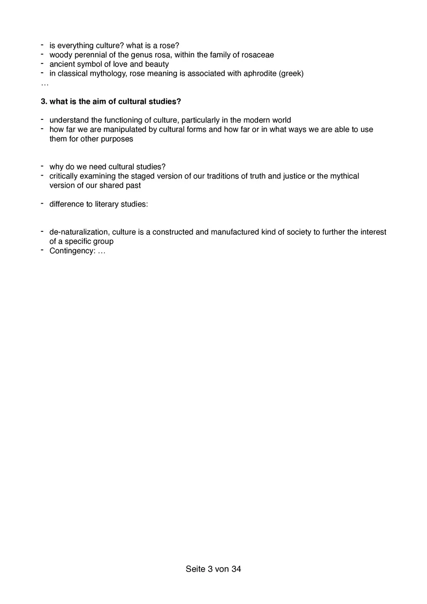 Cultural Studies Theory - Page 13