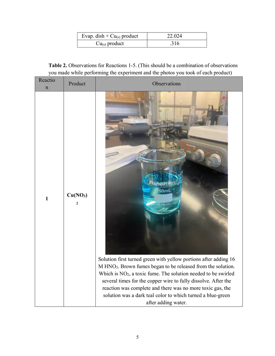 Expirement 8: The Copper Cycle - Page 8