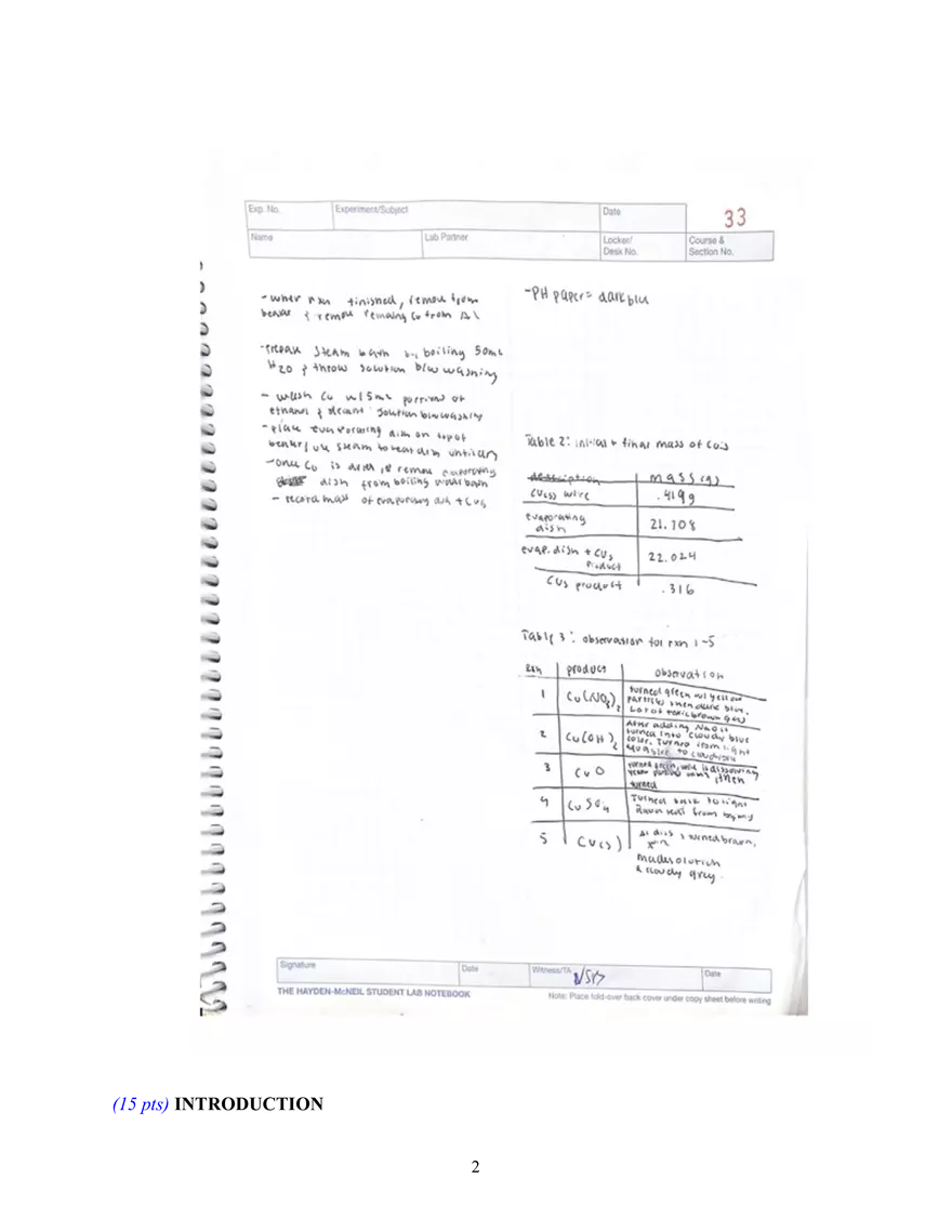 Expirement 8: The Copper Cycle - Page 2