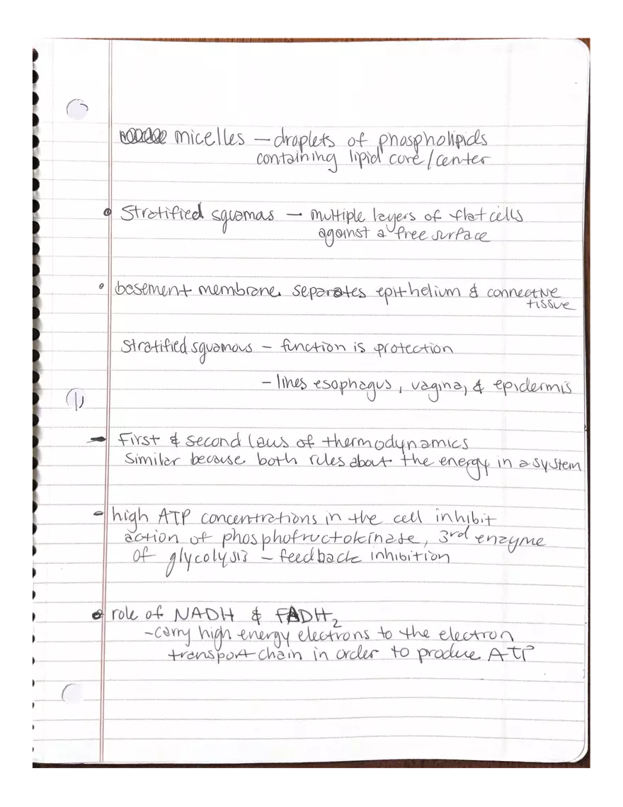 Anatomy. The Endocrine System - Page 6