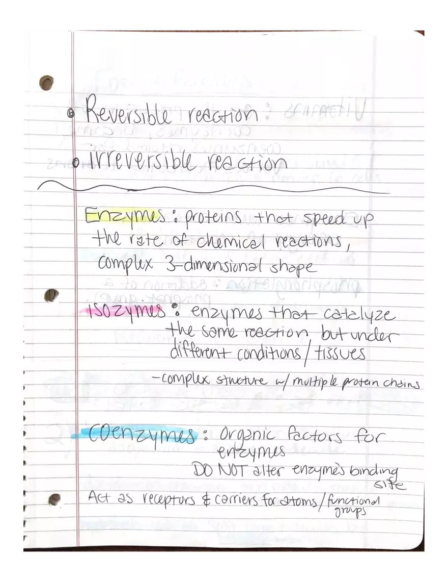 Chapter 3-4. Physiology - Page 7
