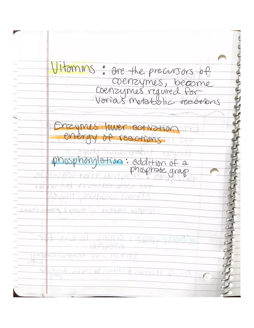 Chapter 3-4. Physiology - Page 8