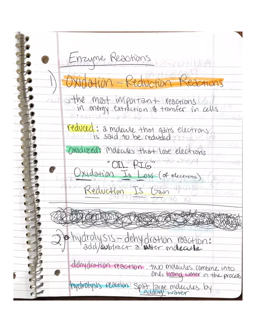 Chapter 3-4. Physiology - Page 9