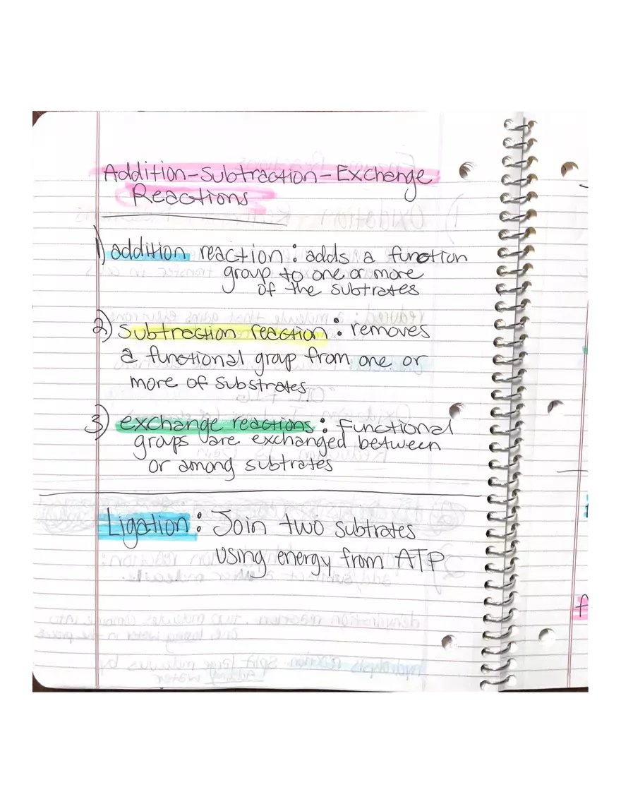 Chapter 3-4. Physiology - Page 10