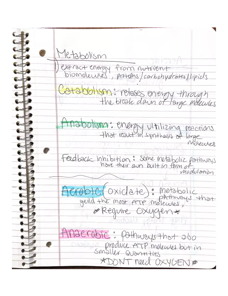 Chapter 3-4. Physiology - Page 11