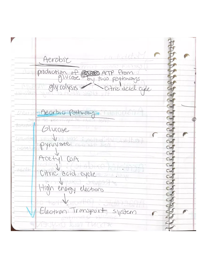 Chapter 3-4. Physiology - Page 12
