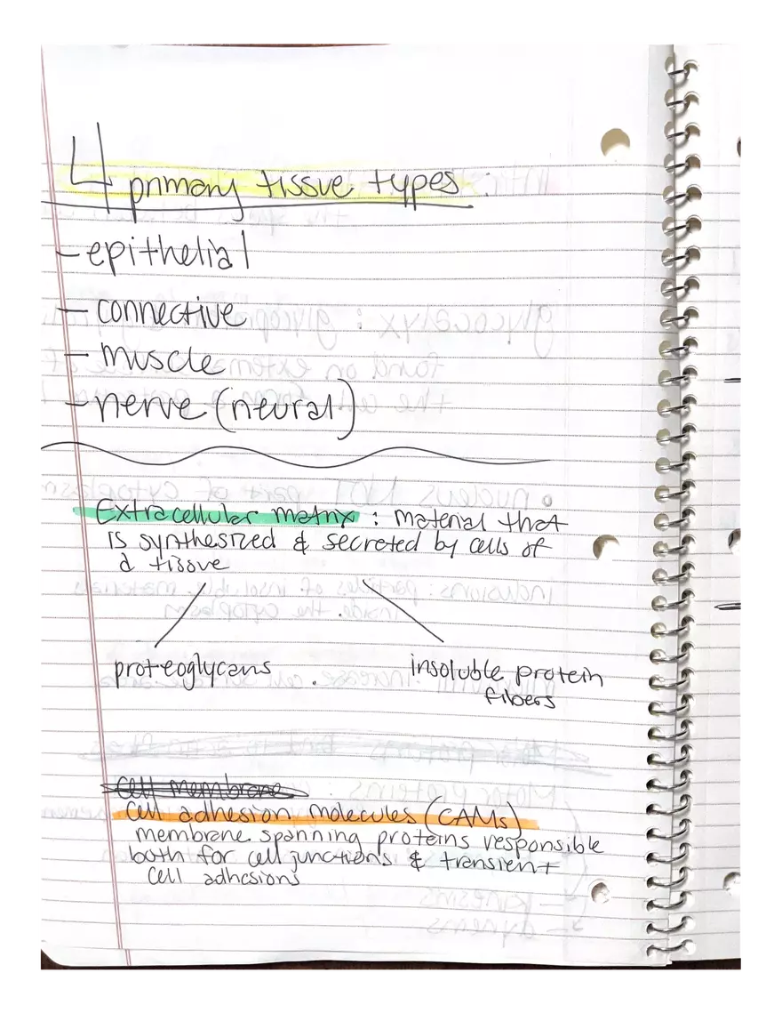 Chapter 3-4. Physiology - Page 13