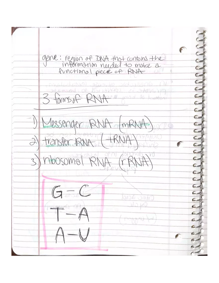 Chapter 3-4. Physiology - Page 15