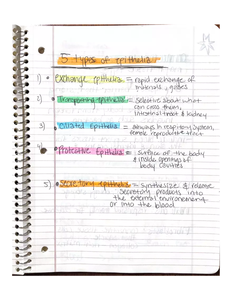 Chapter 3-4. Physiology - Page 19