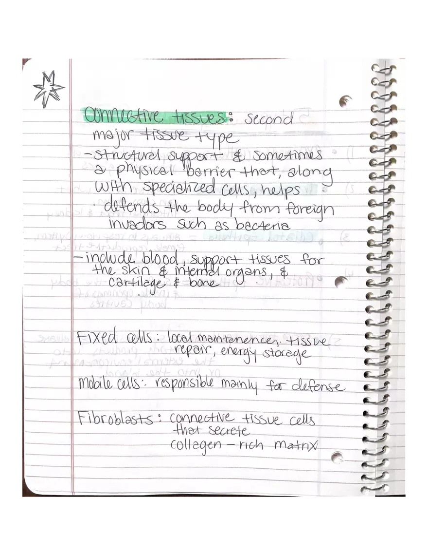 Chapter 3-4. Physiology - Page 20