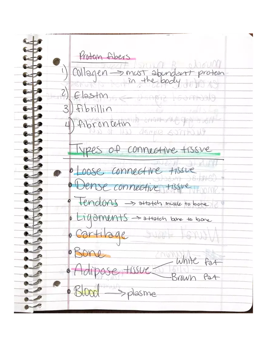 Chapter 3-4. Physiology - Page 21
