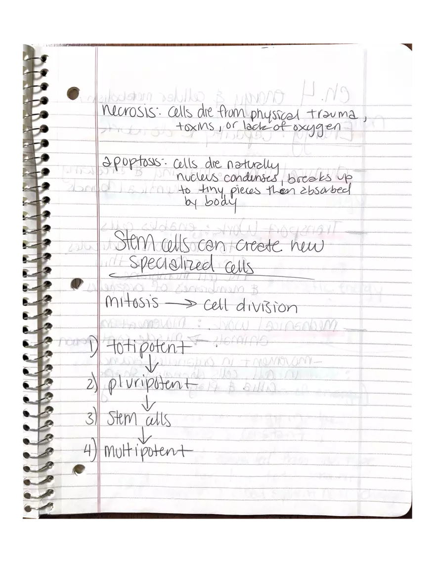 Chapter 3-4. Physiology - Page 23