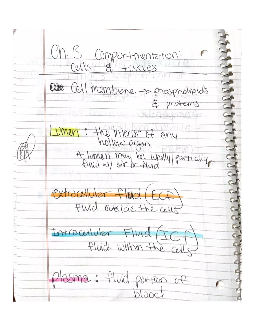 Chapter 3-4. Physiology - Page 1