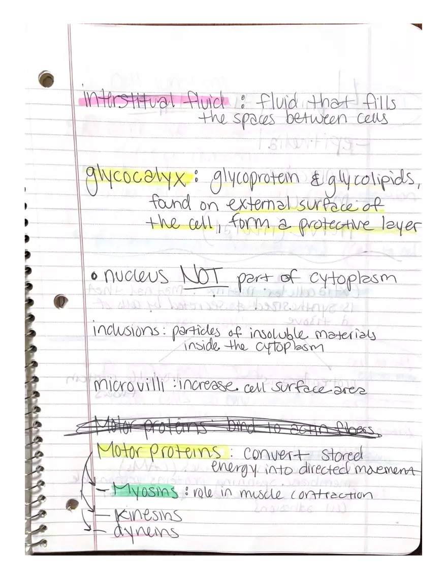 Chapter 3-4. Physiology - Page 2