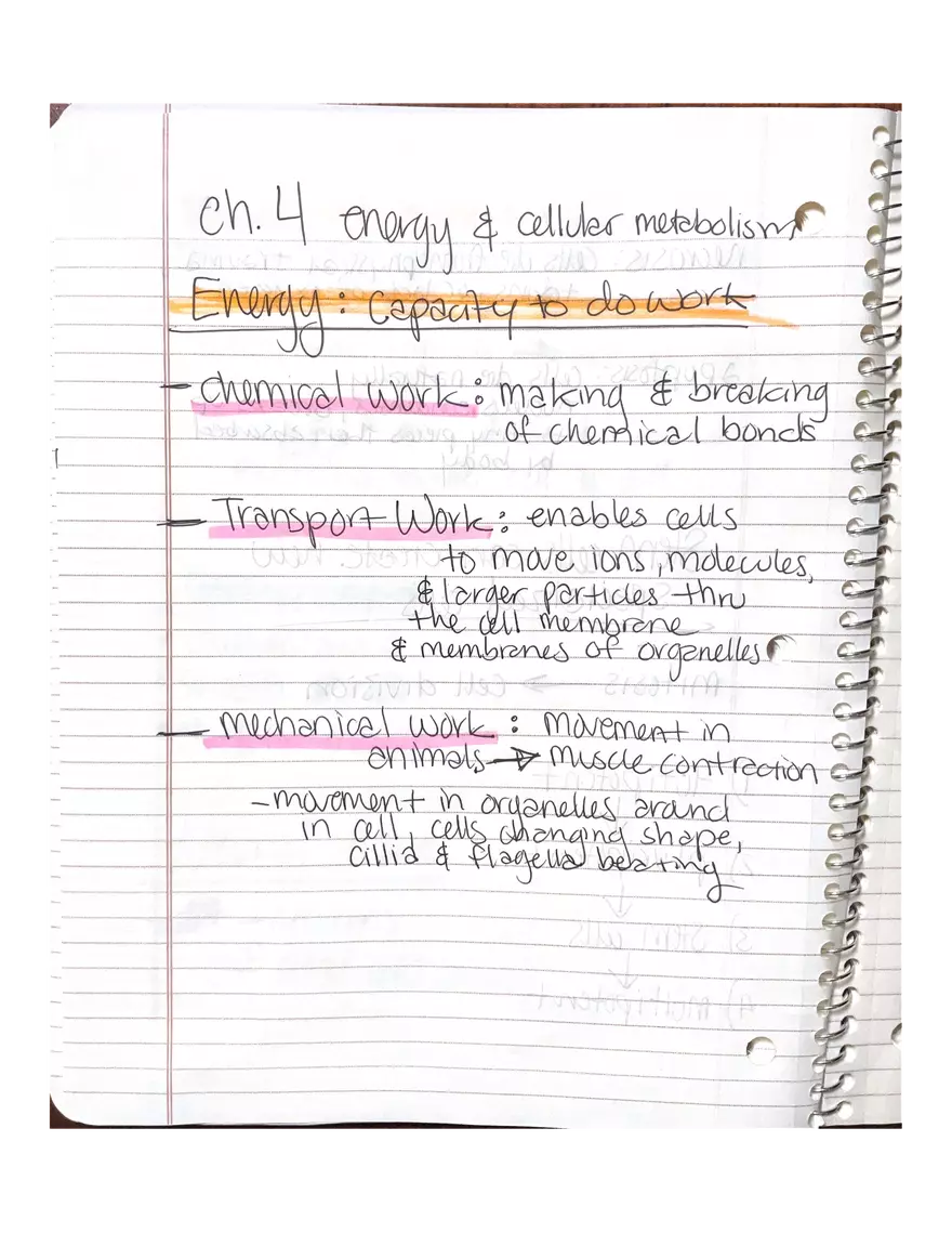 Chapter 3-4. Physiology - Page 3