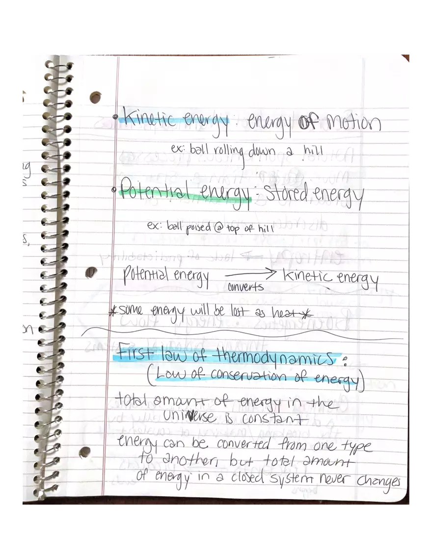 Chapter 3-4. Physiology - Page 4