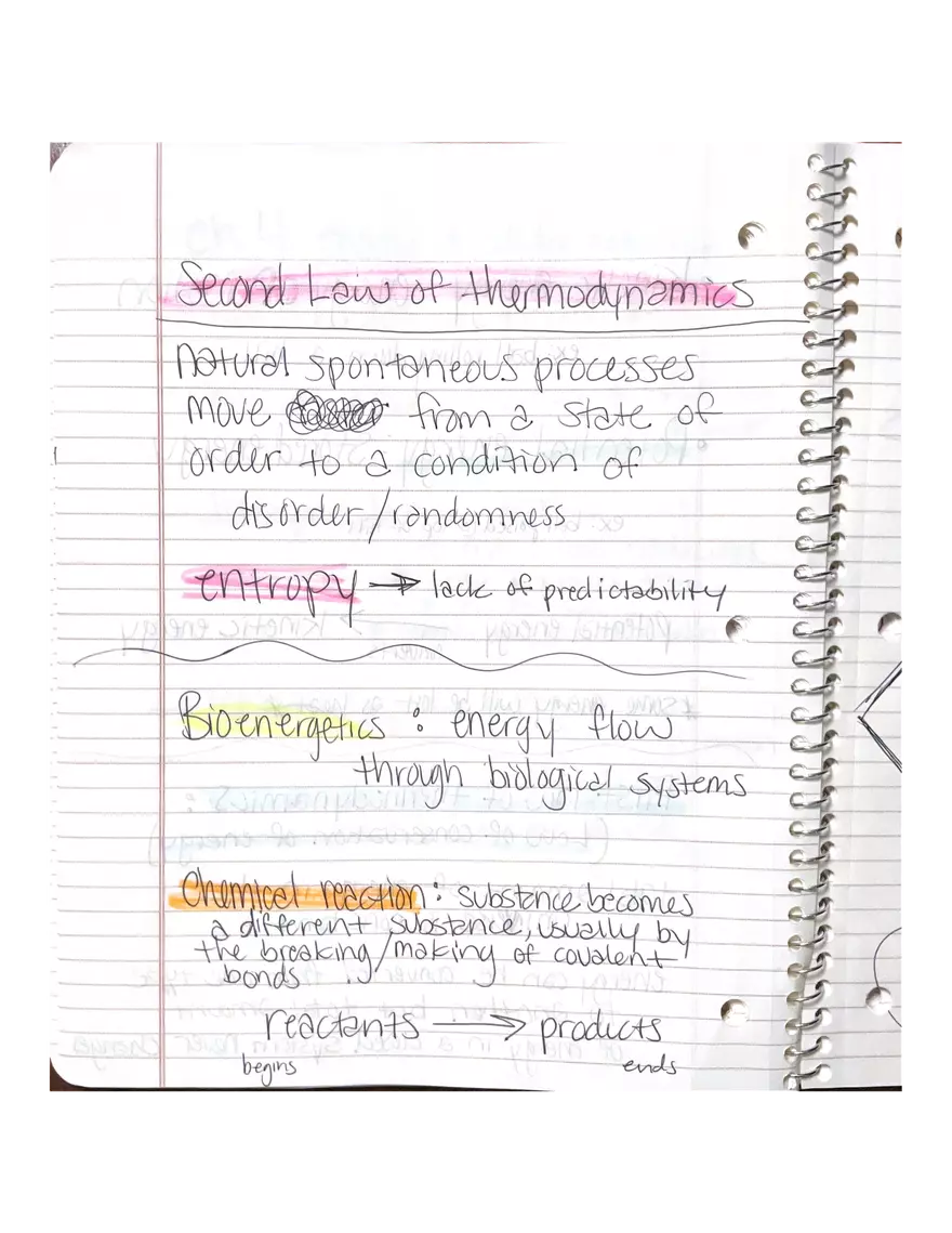 Chapter 3-4. Physiology - Page 5