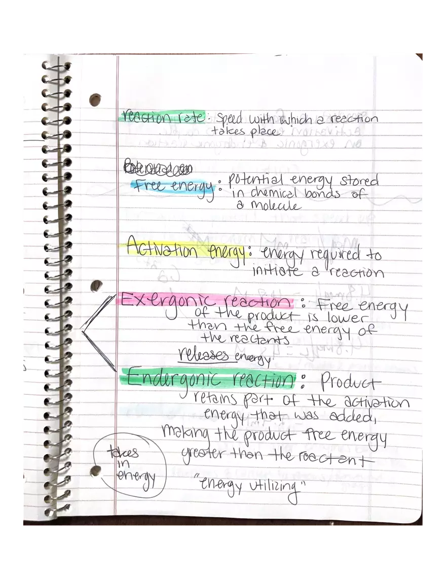 Chapter 3-4. Physiology - Page 6