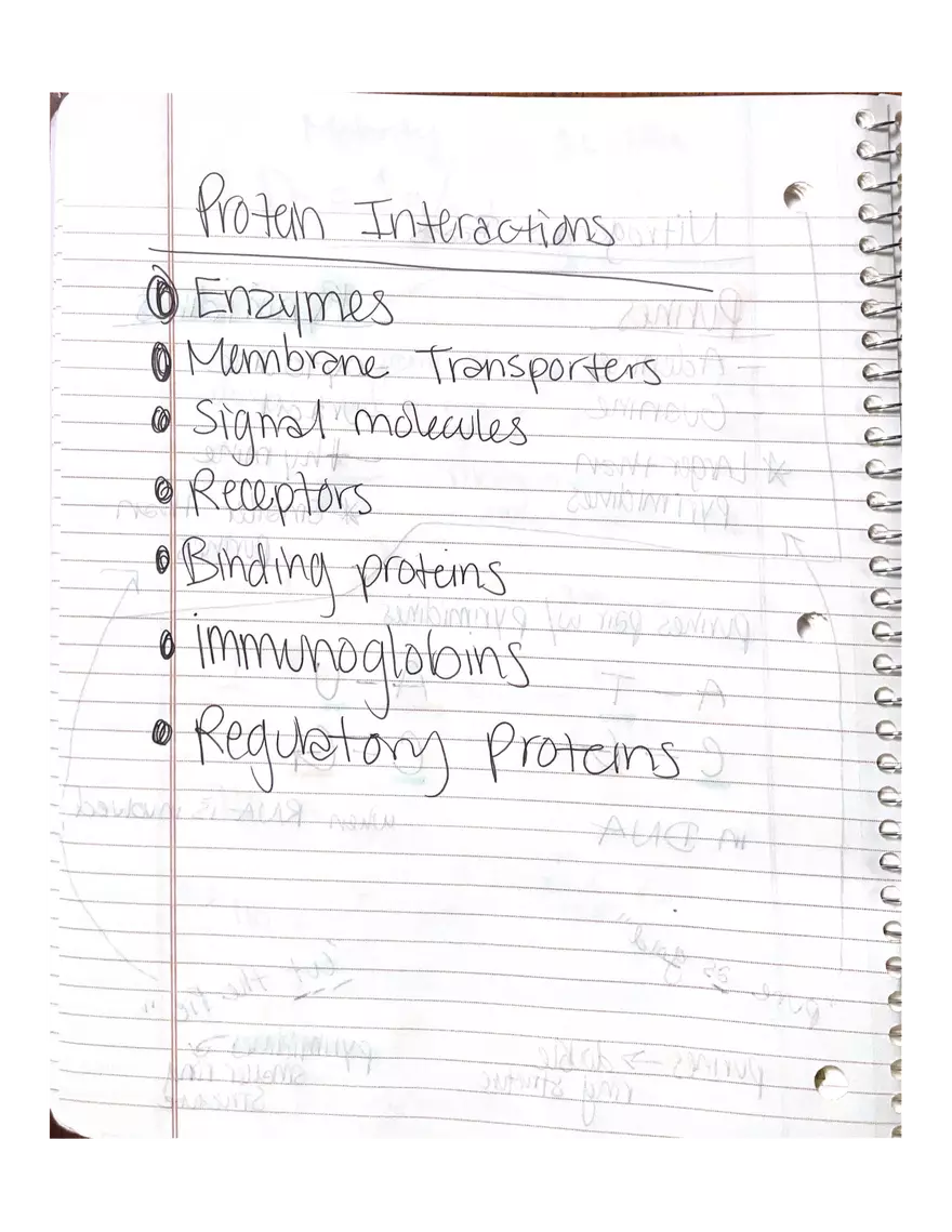 Physiology Part 2. DNA Replication - Page 8