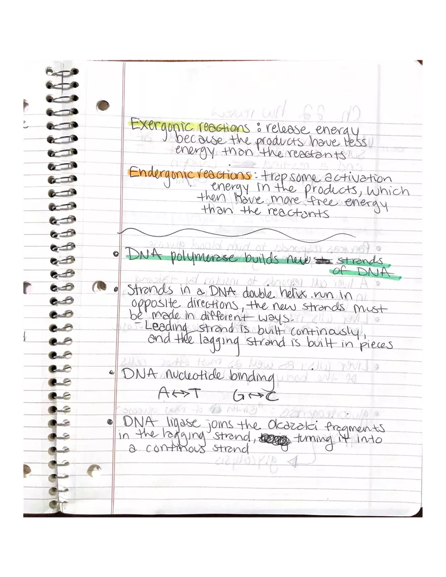 Physiology Part 2. DNA Replication - Page 13