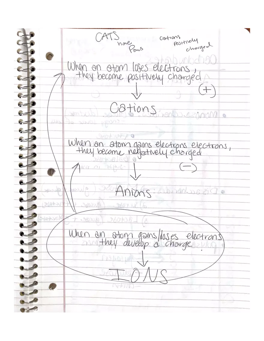 Physiology Part 2. DNA Replication - Page 14