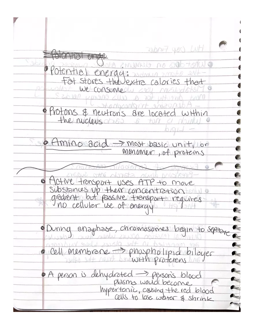 Physiology Part 2. DNA Replication - Page 2
