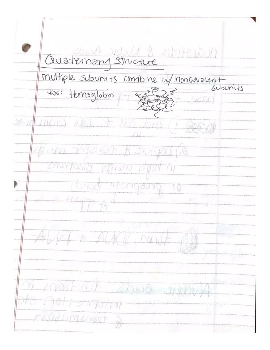 Physiology Part 2. DNA Replication - Page 3