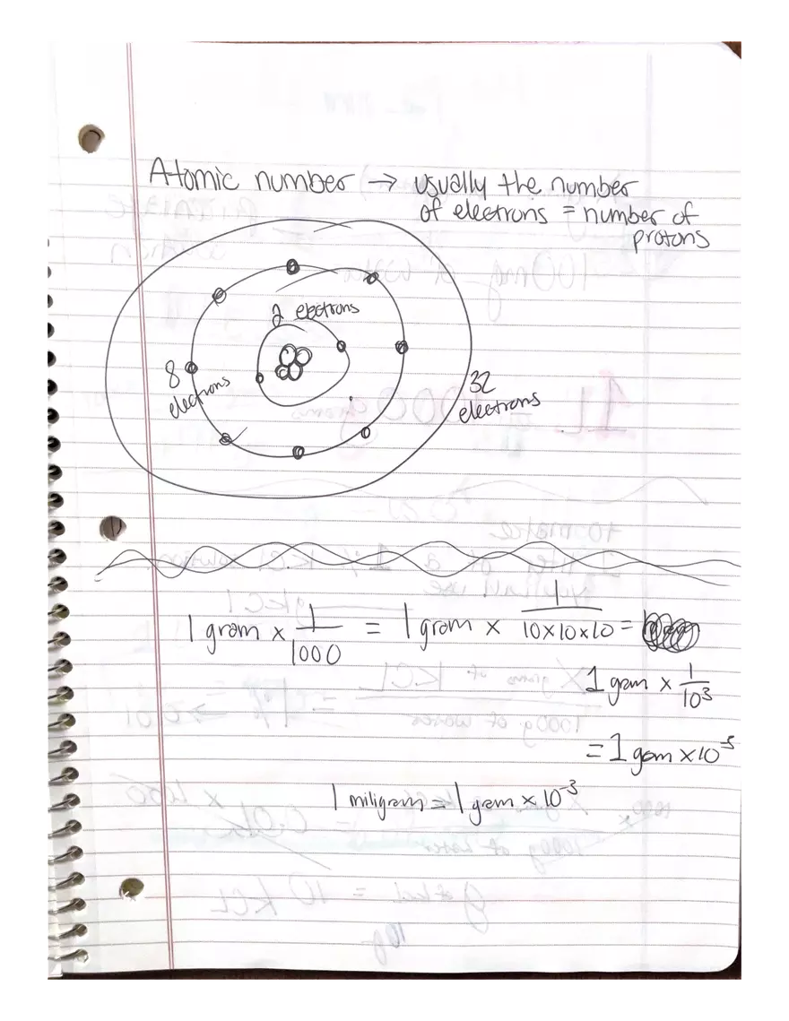Physiology Part 2. DNA Replication - Page 5