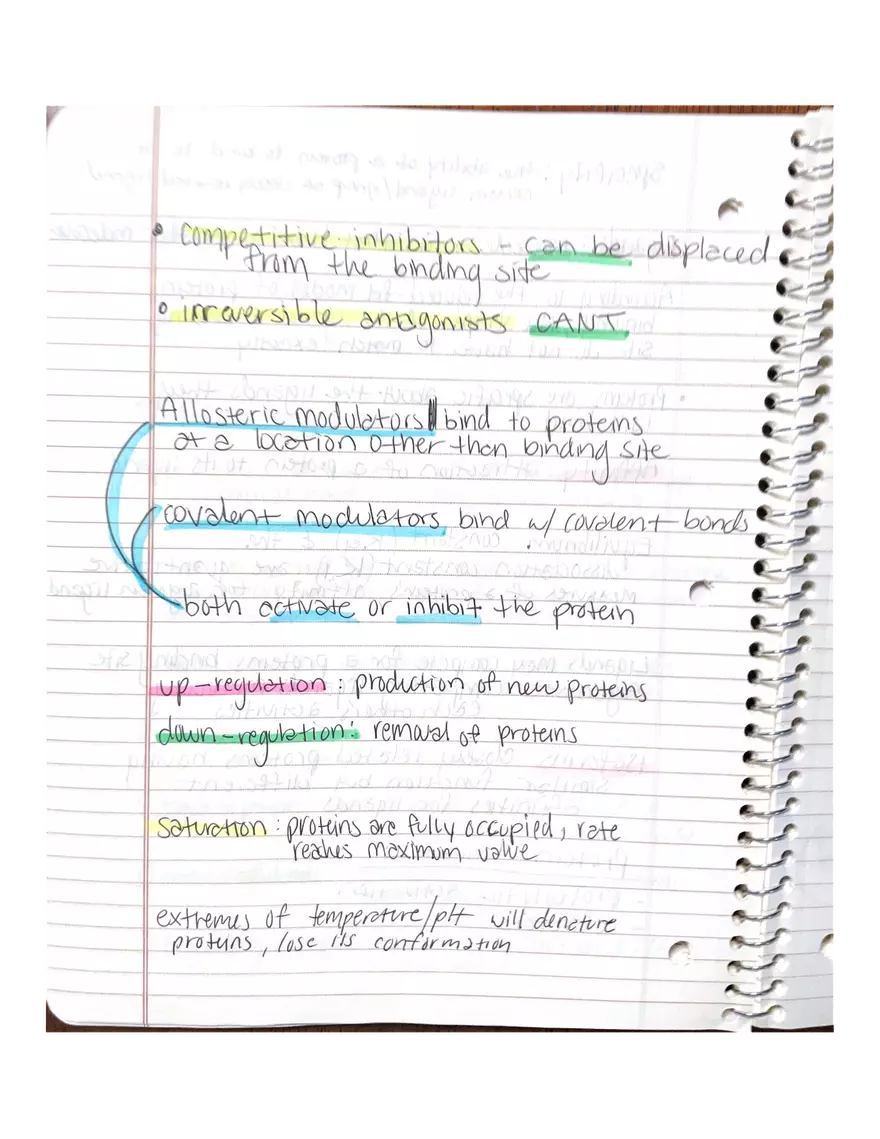 Chapter 1 and 2: Physiology - Page 7