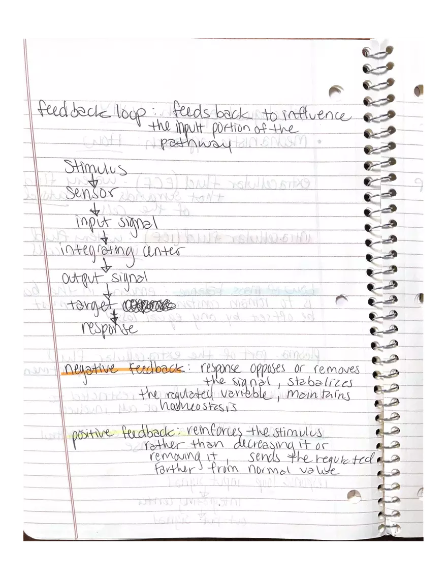 Chapter 1 and 2: Physiology - Page 8