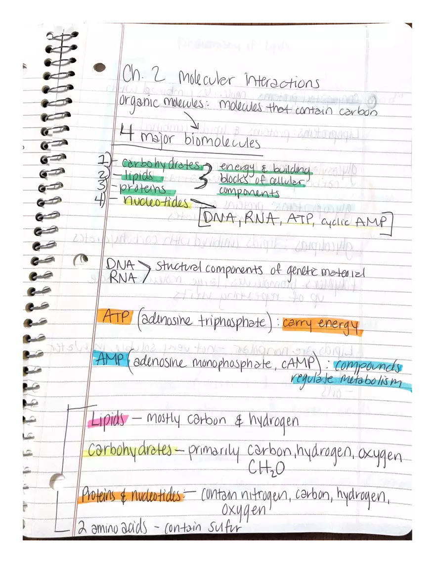 Chapter 1 and 2: Physiology - Page 11