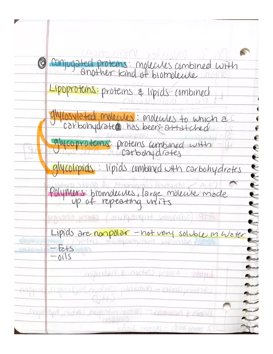 Chapter 1 and 2: Physiology - Page 12