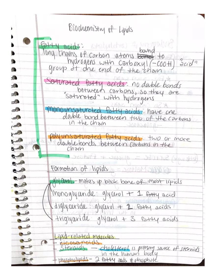 Chapter 1 and 2: Physiology - Page 13