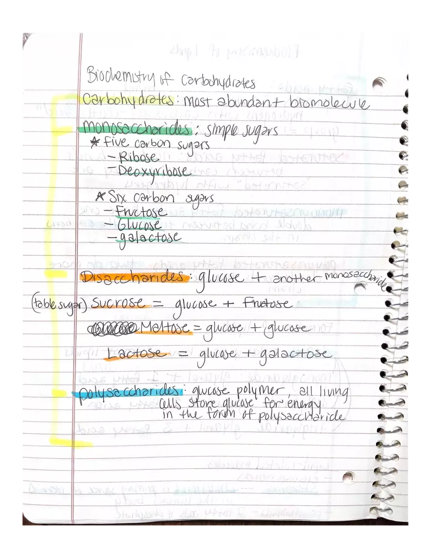 Chapter 1 and 2: Physiology - Page 14