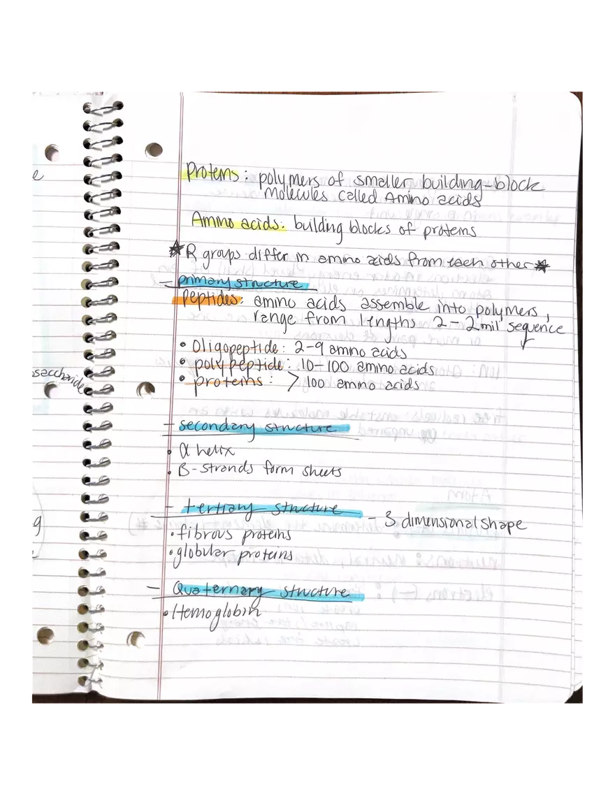 Chapter 1 and 2: Physiology - Page 15