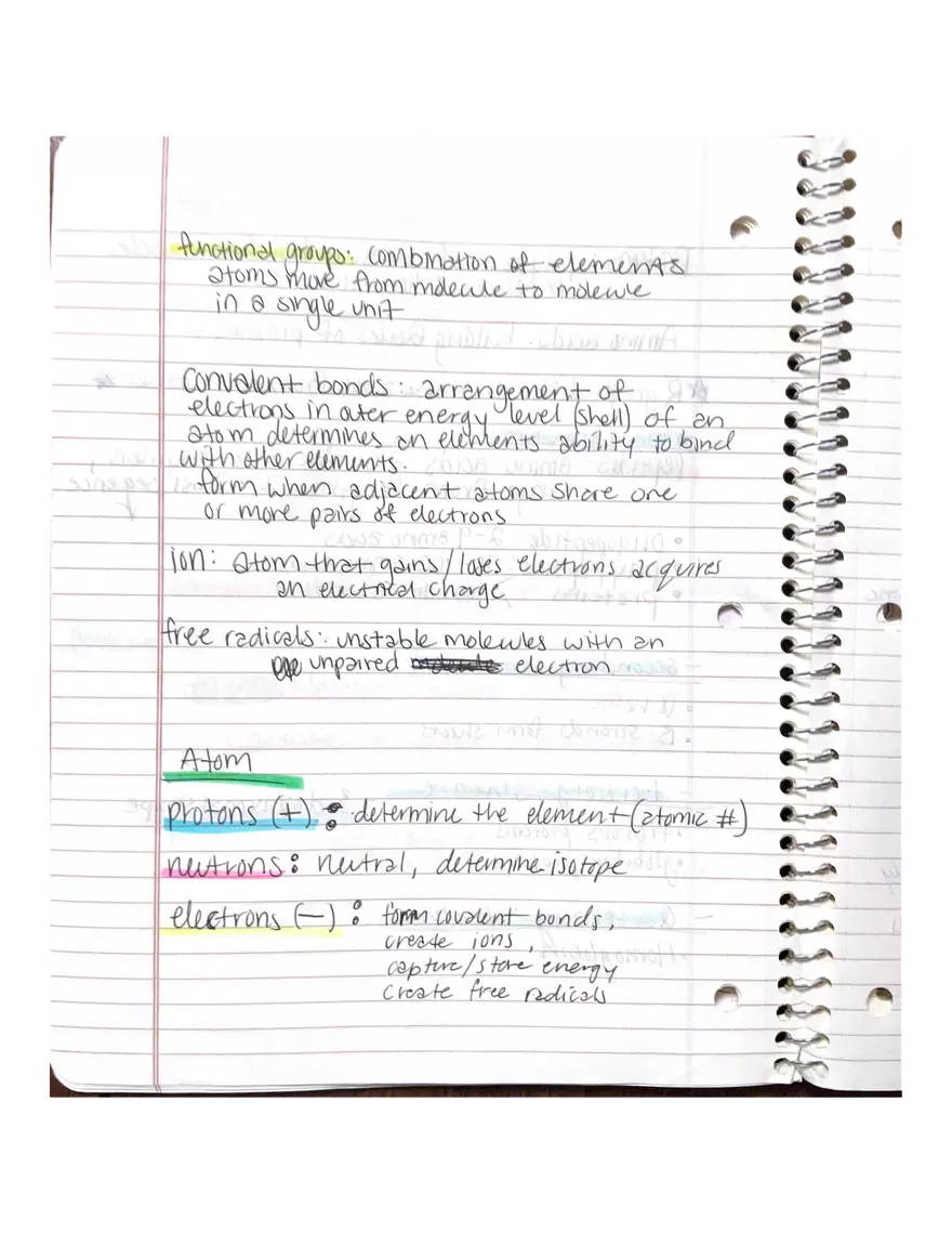 Chapter 1 and 2: Physiology - Page 3