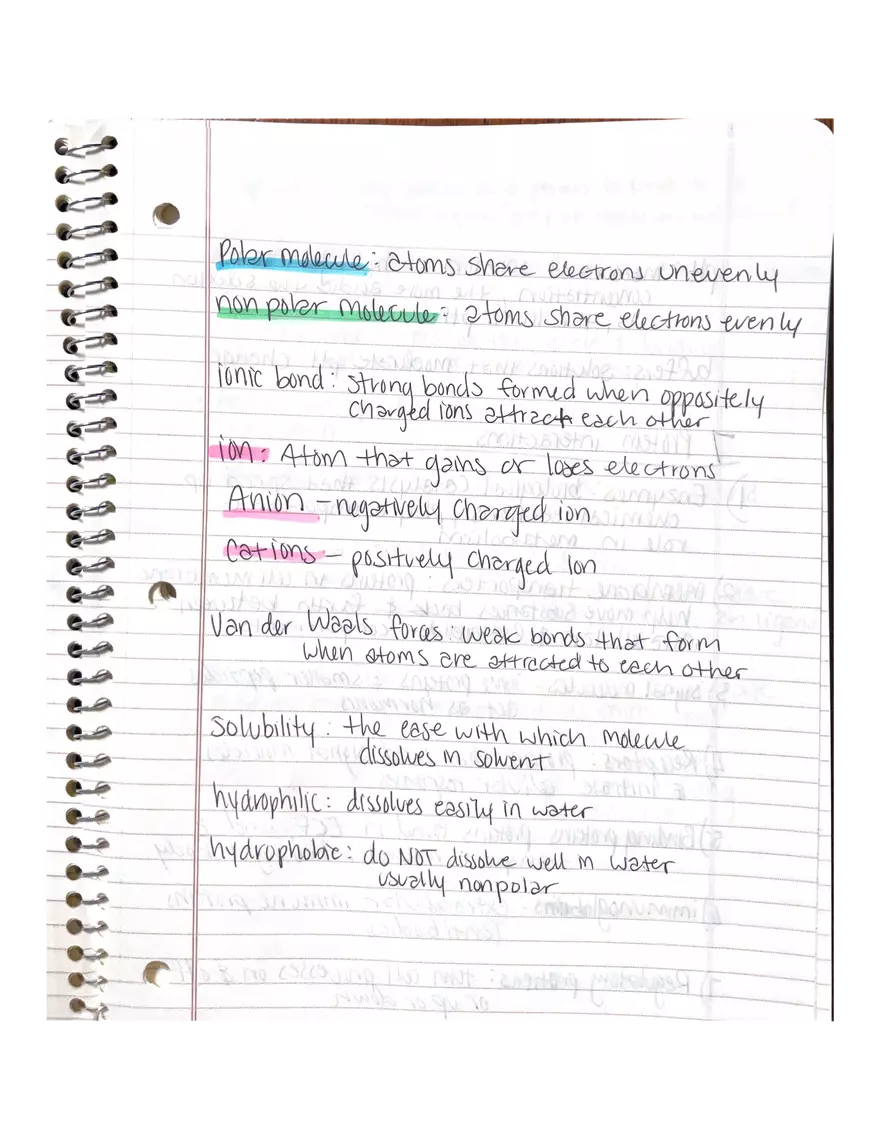 Chapter 1 and 2: Physiology - Page 4