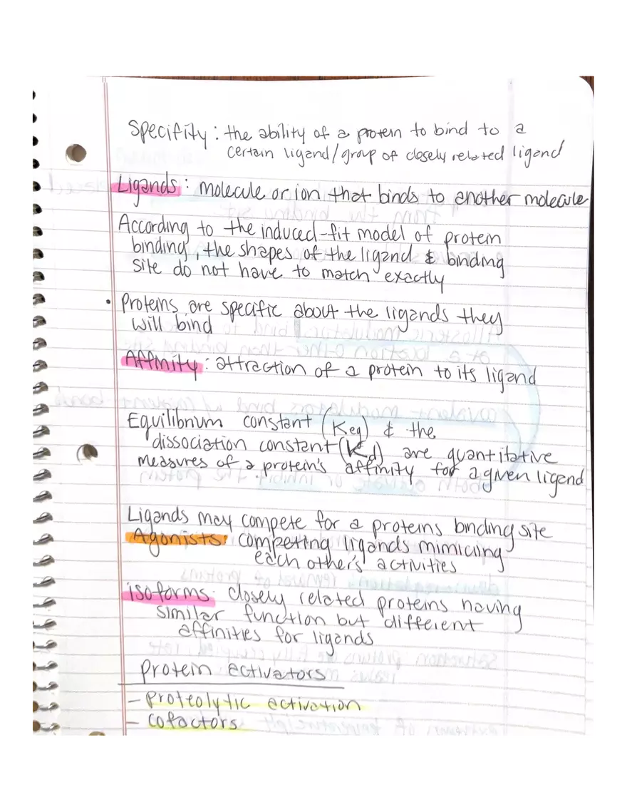 Chapter 1 and 2: Physiology - Page 6