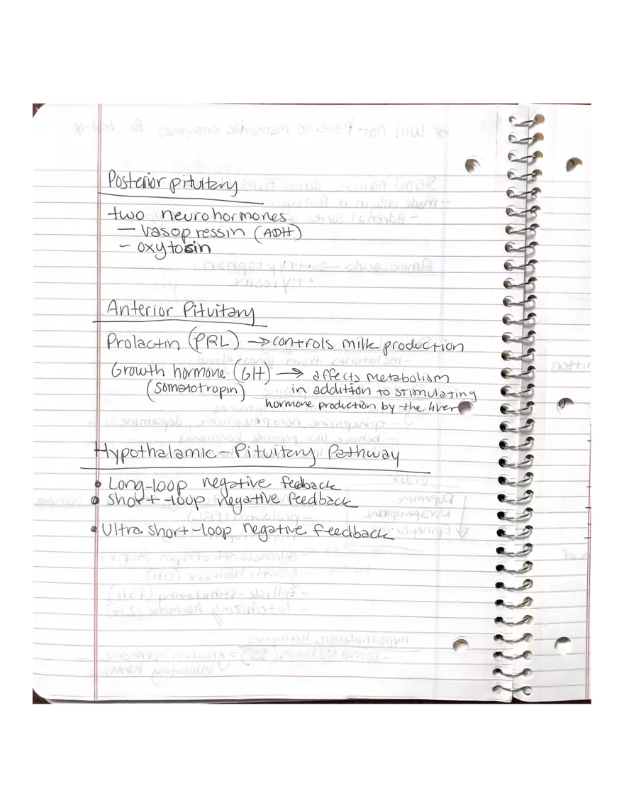 Anatomy Chapter 7-9 - Page 7