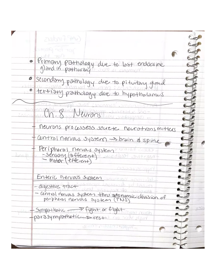 Anatomy Chapter 7-9 - Page 9