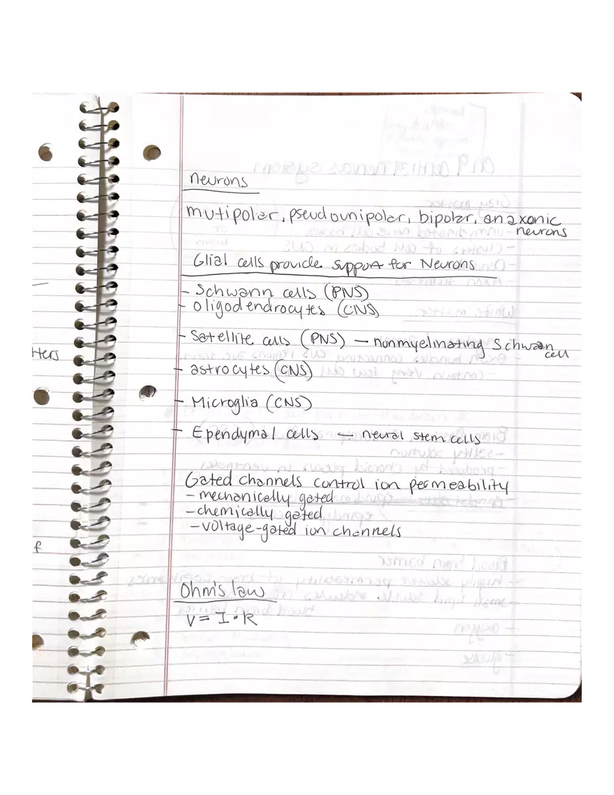 Anatomy Chapter 7-9 - Page 10