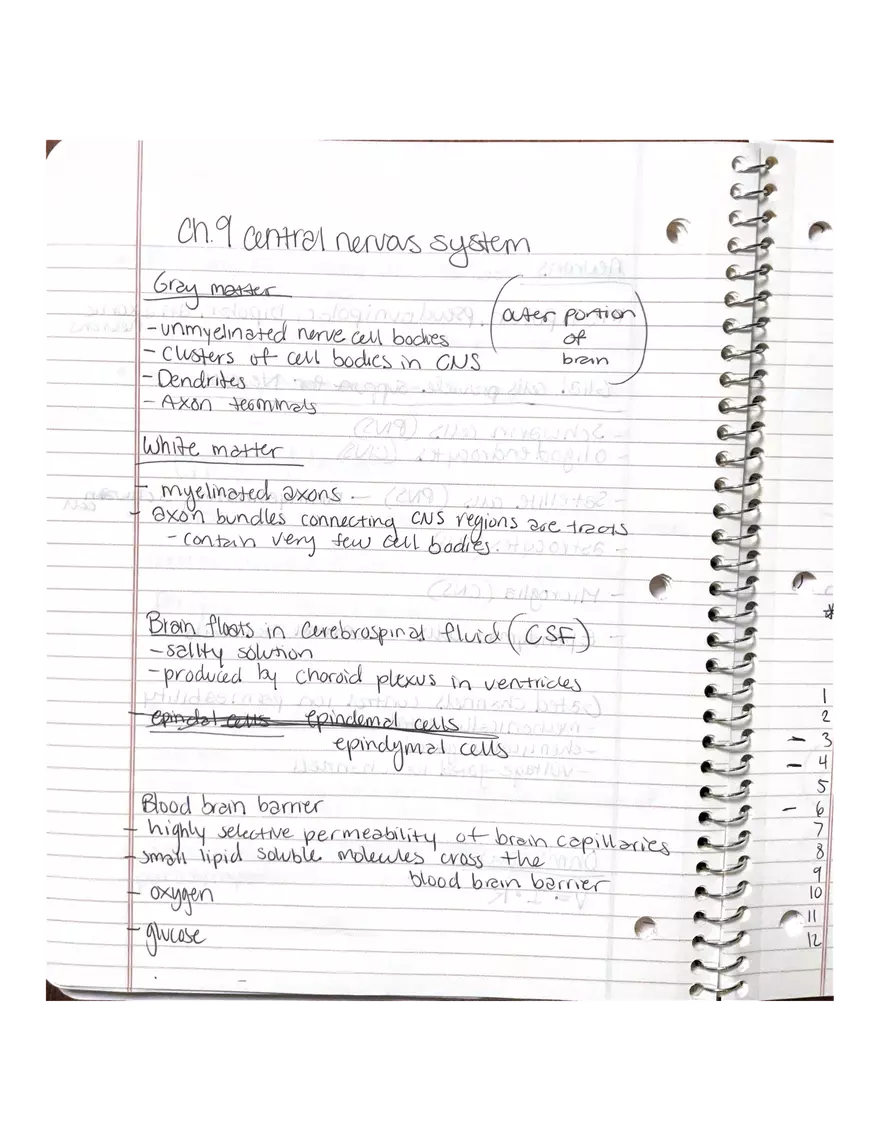 Anatomy Chapter 7-9 - Page 11