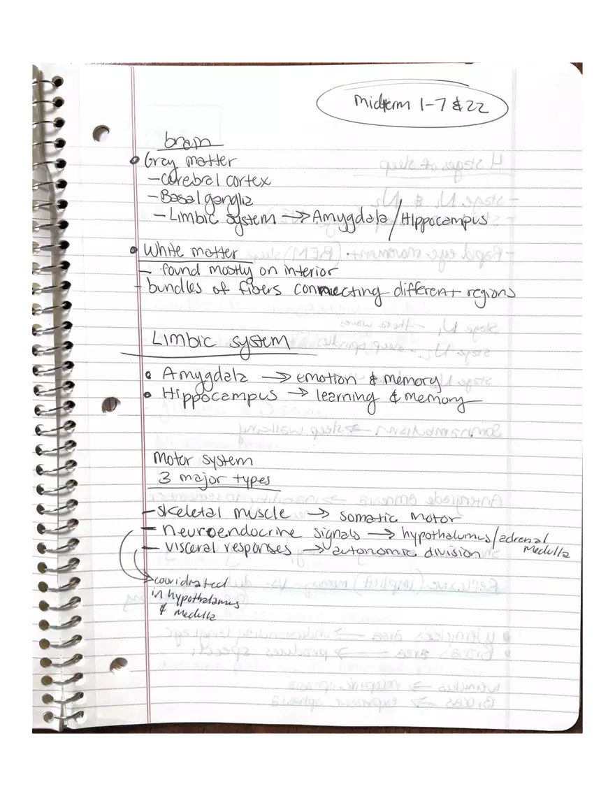 Anatomy Chapter 7-9 - Page 14
