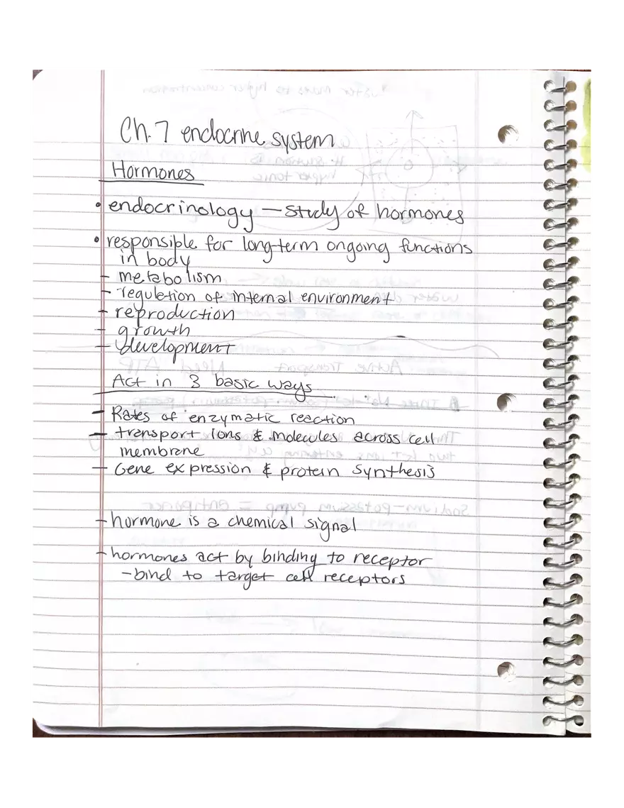 Anatomy Chapter 7-9 - Page 1