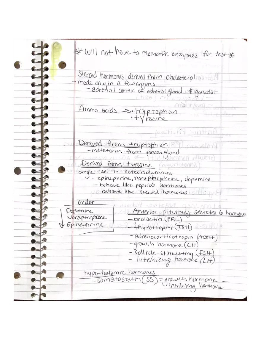 Anatomy Chapter 7-9 - Page 2